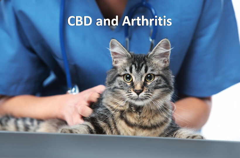 CBD and Arthritis