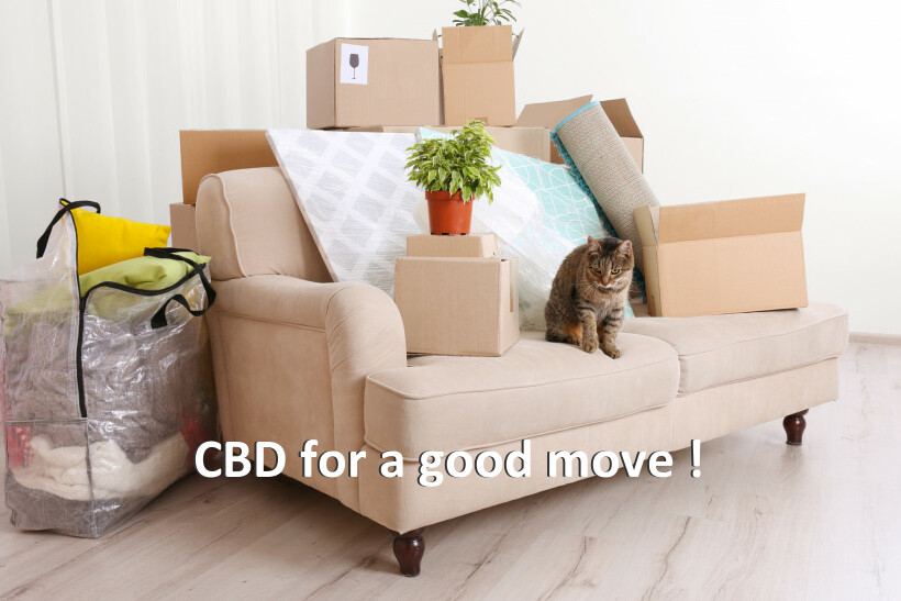 CBD for a good move !