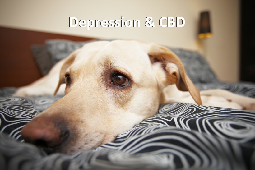 Depression & CBD