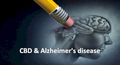 CBD & Alzheimer's disease