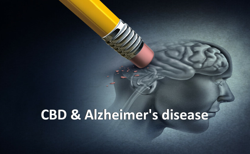 CBD & Alzheimer's disease