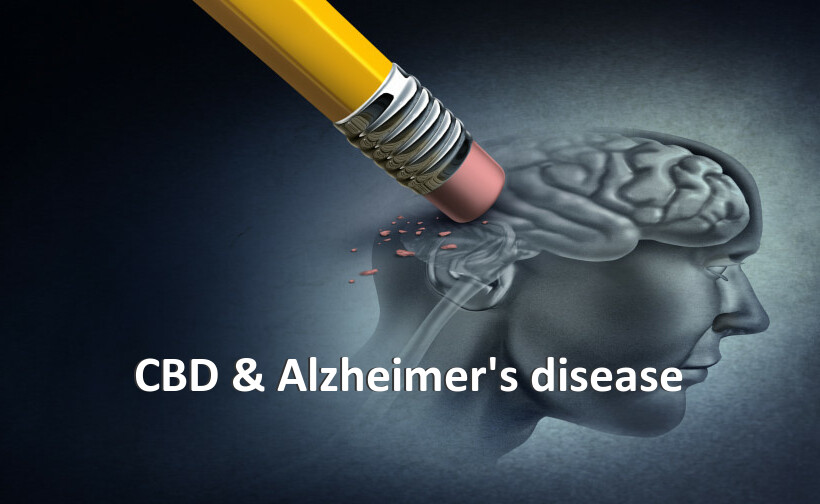 CBD & Alzheimer's disease