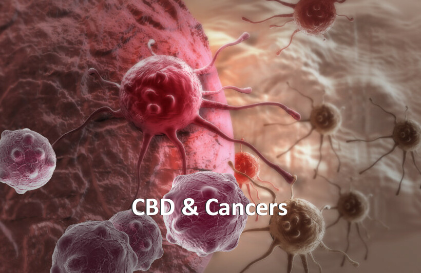 CBD & Cancers