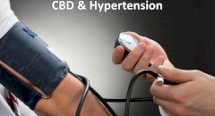 CBD & Hypertension