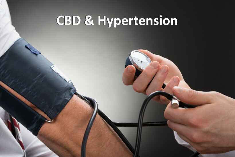 CBD & Hypertension