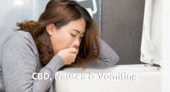 CBD, Nausea & Vomiting