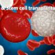 CBD and hematopoietic transplantation