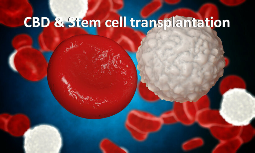 CBD & Stem cell transplantation