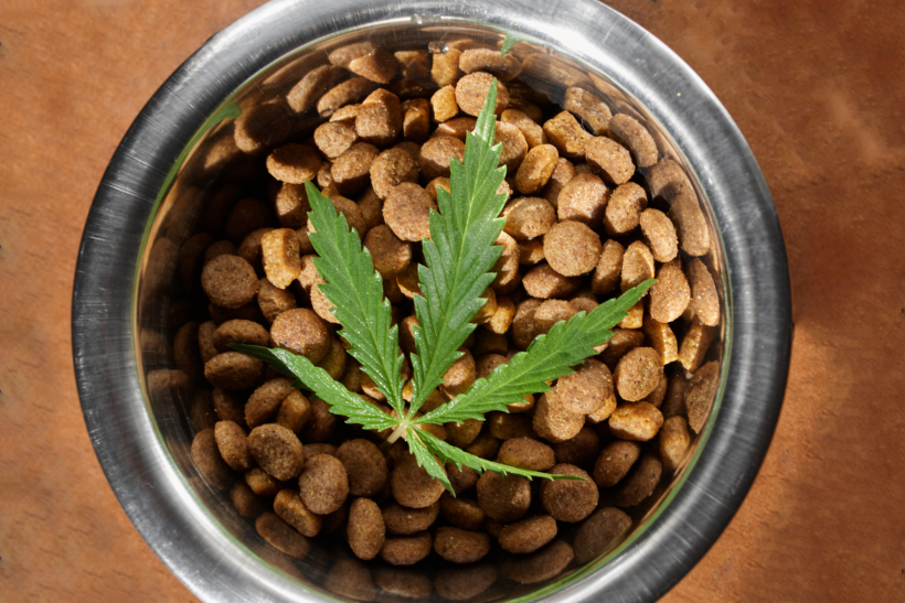 kibble and cannabis leaf