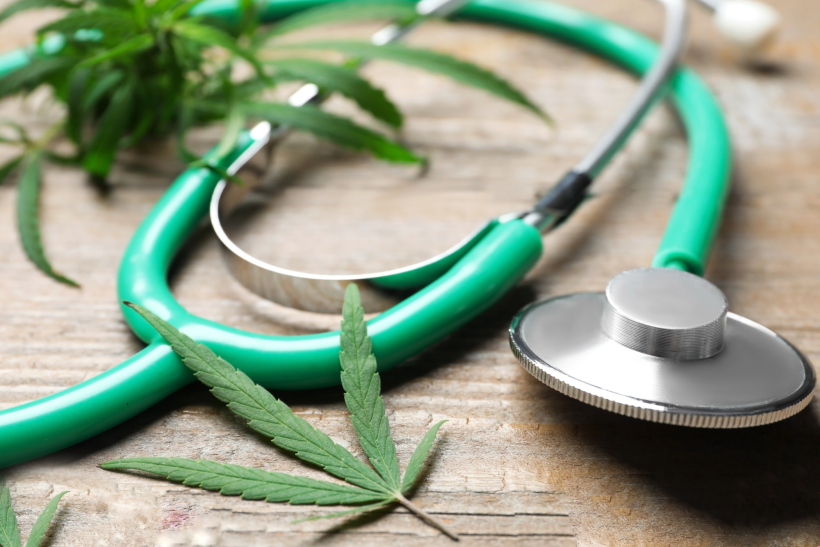 stethoscope hemp leaves