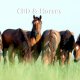 CBD for horses