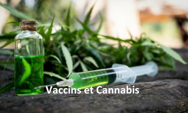 Le Québec interdit la vente de cannabis aux non-vaccinés.