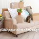 Déménager avec son chat