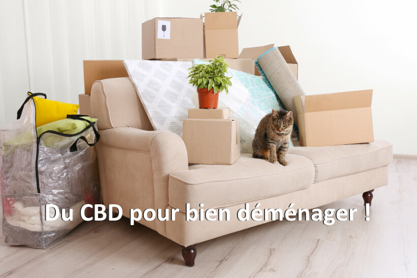 Du CBD pour bien déménager !