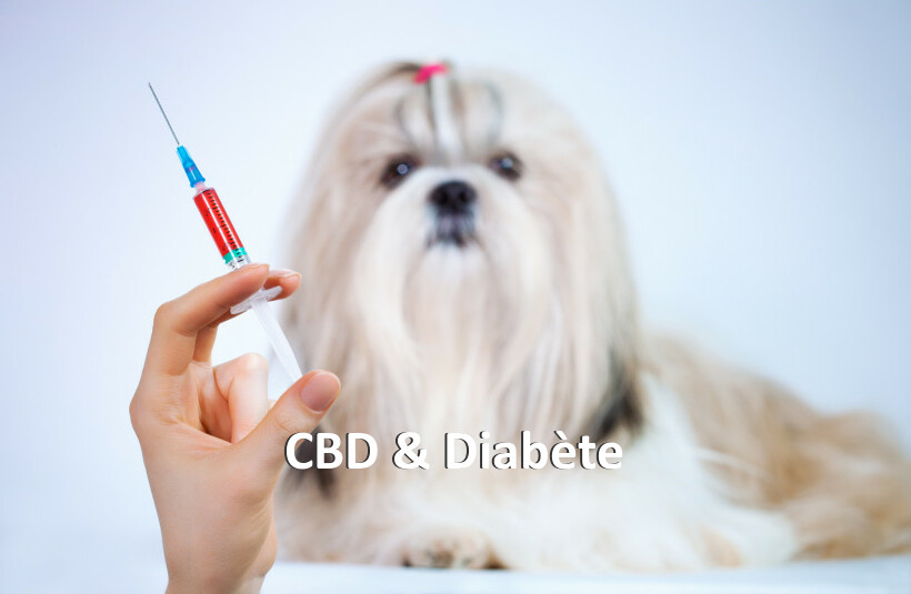 CBD & Diabète