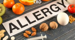 CBD & Allergies 