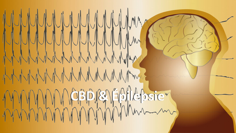 CBD & Épilepsie
