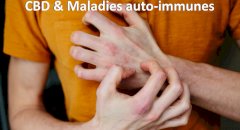 CBD et maladies auto-immunes