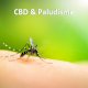 CBD & Paludisme