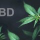 Cannabis légal et CBD, quelle différence ?