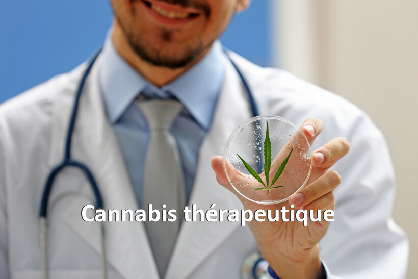 Cannabis thérapeutique