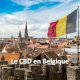 Quel CBD acheter en Belgique ?