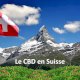 Quel CBD acheter en Suisse ?