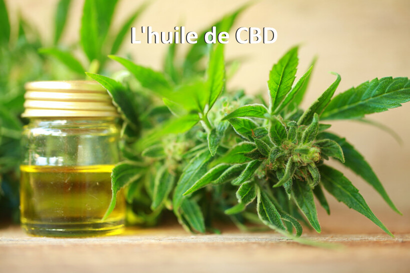 L'huile de CBD