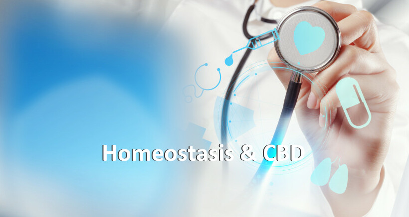 Homeostasis & CBD