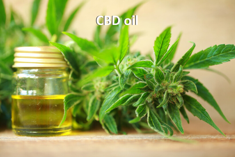 CBD oil