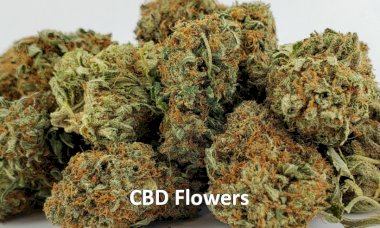 CBD flowers again authorized for sale. But for how long ?
