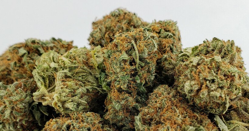 CBD-Blüten