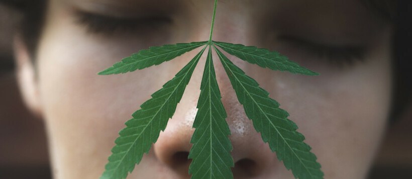 The subtle scent of cannabis