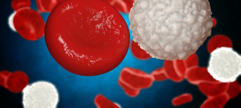 CBD en hematopoëtische transplantatie