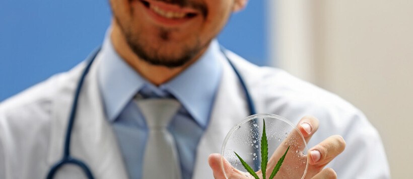 Cannabis terapéutico